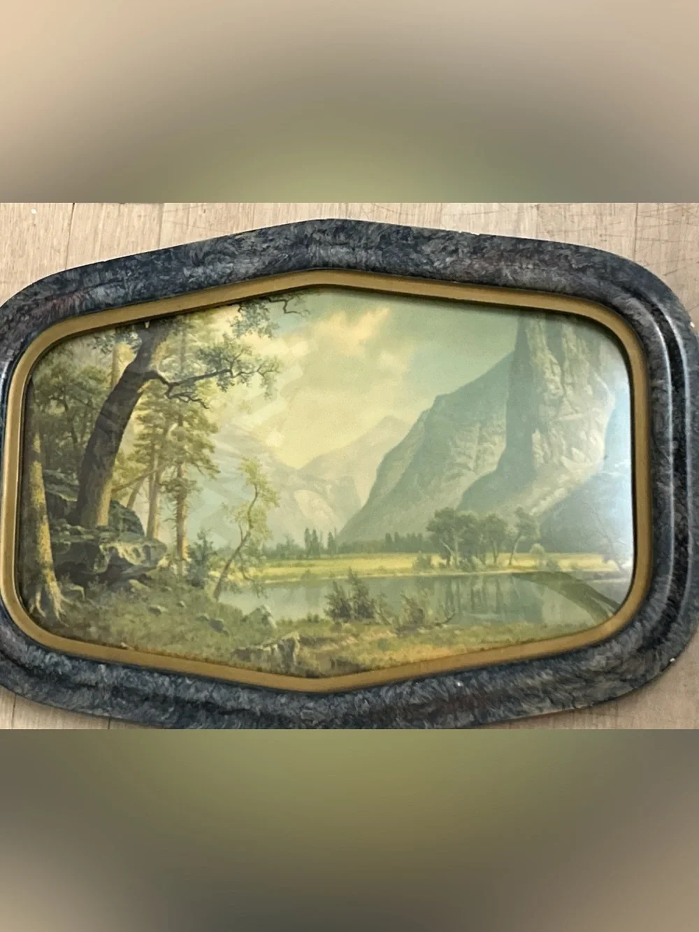True Vintage Early 1900's Landscape Wall Art-Framed Yosemite Mountain Lake Print